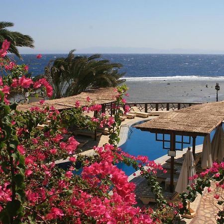 Nesima Resort Νταχάμπ Εξωτερικό φωτογραφία