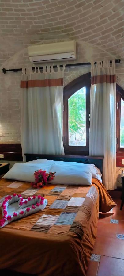 Nesima Resort Νταχάμπ Εξωτερικό φωτογραφία