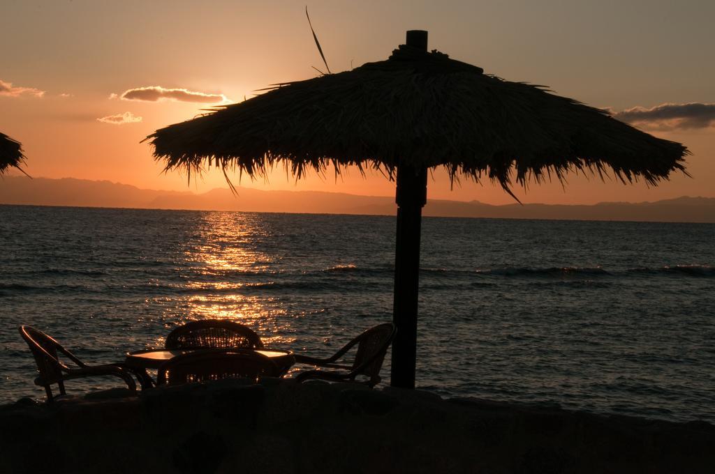 Nesima Resort Νταχάμπ Εξωτερικό φωτογραφία