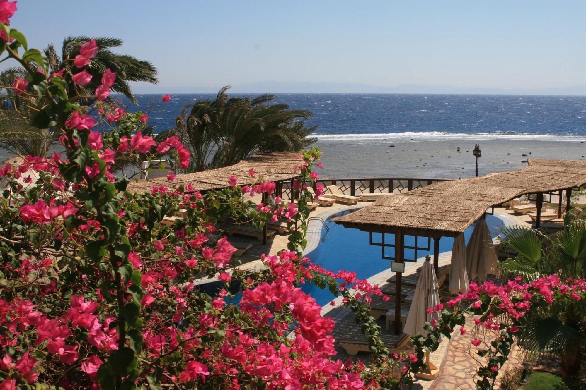 Nesima Resort Νταχάμπ Εξωτερικό φωτογραφία